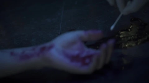Free Video Stock taking a blood sample at a crime scene Live Wallpaper - Free Live Wallpaper