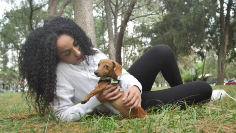 Free Video Stock taking care of your dog in the park Live Wallpaper - Free Live Wallpaper