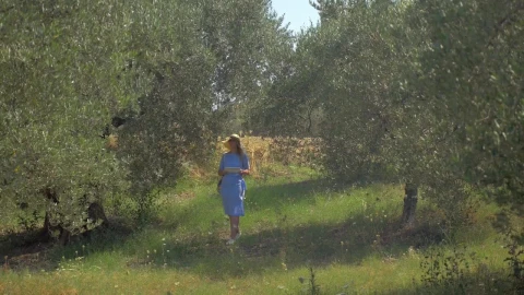 Free Video Stock taking photos in a vibrant woodland Live Wallpaper - Free Live Wallpaper
