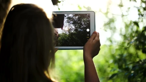 Free Video Stock taking photos of a field Live Wallpaper - Free Live Wallpaper
