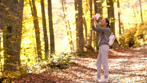 Free Video Stock taking photos with her cell phone of autumn nature Live Wallpaper - Free Live Wallpaper