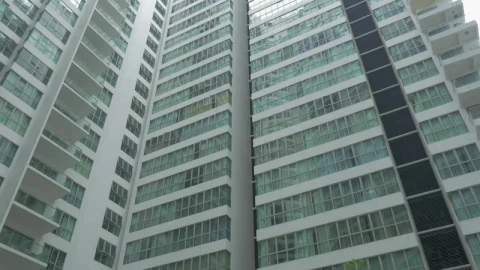 Free Video Stock tall building with a community garden Live Wallpaper - Free Live Wallpaper