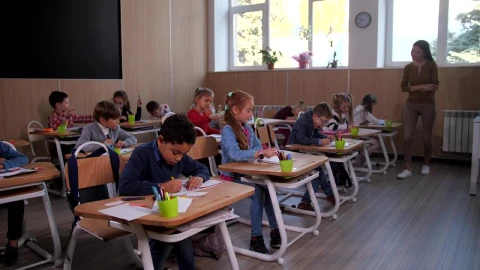 Free Video Stock teacher with her students Live Wallpaper - Free Live Wallpaper