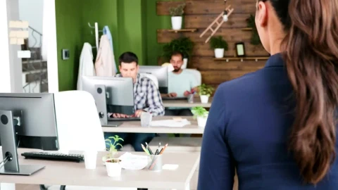 Free Video Stock team leader chats with man in creative office Live Wallpaper - Free Live Wallpaper