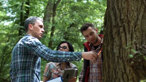 Free Video Stock team of researchers discussing about a tree Live Wallpaper - Free Live Wallpaper