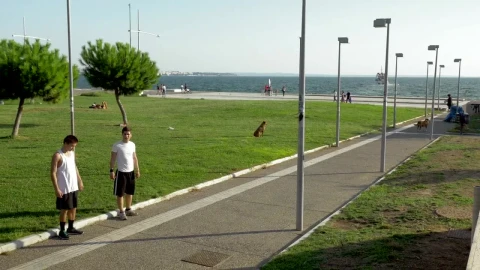 Free Video Stock team parkour Live Wallpaper - Free Live Wallpaper