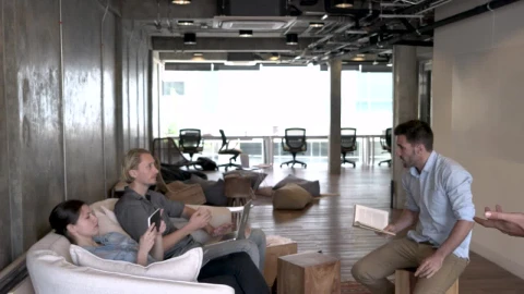 Free Video Stock team working from a relaxed office Live Wallpaper - Free Live Wallpaper