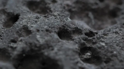 Free Video Stock texture of a gray rock detail view Live Wallpaper - Free Live Wallpaper