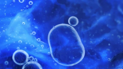 Free Video Stock texture of a virus at rest Live Wallpaper - Free Live Wallpaper