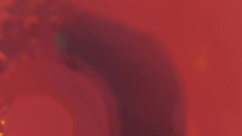 Free Video Stock texture of a virus under microscope Live Wallpaper - Free Live Wallpaper