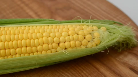 Free Video Stock texture of an ear of corn Live Wallpaper - Free Live Wallpaper