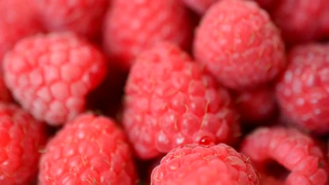 Free Video Stock texture of raspberrys close up view Live Wallpaper - Free Live Wallpaper