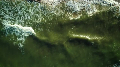 Free Video Stock texture of sea waves reaching the beach Live Wallpaper - Free Live Wallpaper