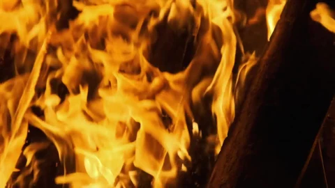Free Video Stock texture of the flames of a campfire Live Wallpaper - Free Live Wallpaper