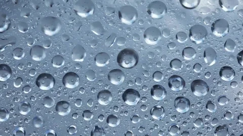 Free Video Stock texture of water drops vibrating on a glass Live Wallpaper - Free Live Wallpaper