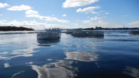 Free Video Stock thawing river Live Wallpaper - Free Live Wallpaper