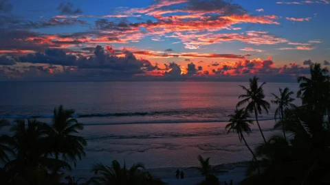 Free Video Stock the beach at sunset in the background Live Wallpaper - Free Live Wallpaper