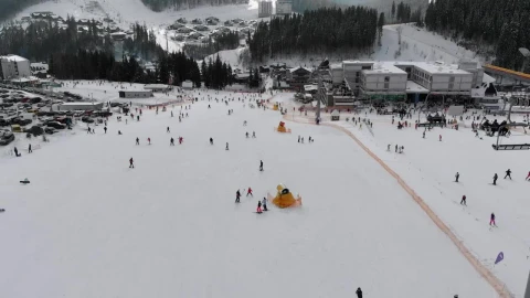 Free Video Stock the landscape of skiers on the mountain forest Live Wallpaper - Free Live Wallpaper