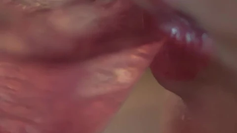 Free Video Stock the mouth of a woman taking a cocktail Live Wallpaper - Free Live Wallpaper