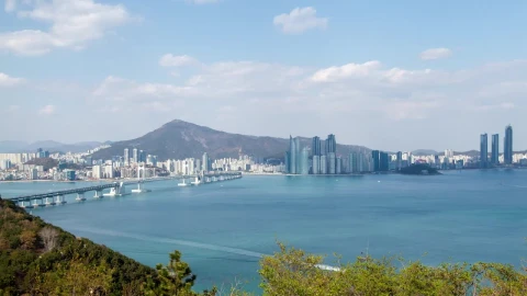 Free Video Stock the ocean and busan city in the background Live Wallpaper - Free Live Wallpaper