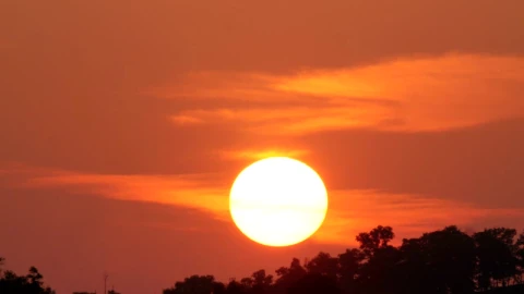 Free Video Stock the sun goes down behind a tree line Live Wallpaper - Free Live Wallpaper
