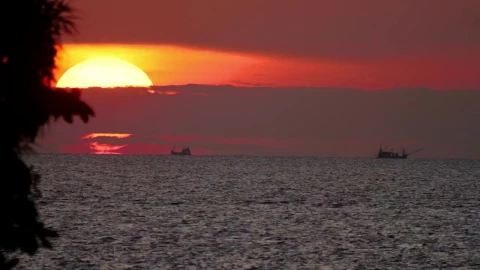Free Video Stock the sunset and the sea Live Wallpaper - Free Live Wallpaper