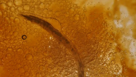 Free Video Stock thick bacterial yellow liquid Live Wallpaper - Free Live Wallpaper