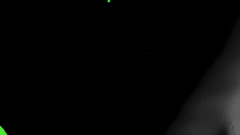 Free Video Stock thick black liquid covering a chroma background Live Wallpaper - Free Live Wallpaper
