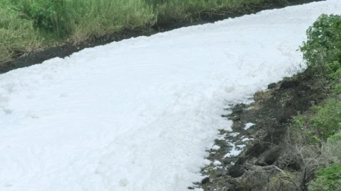 Free Video Stock thick layer of foam covering a path Live Wallpaper - Free Live Wallpaper