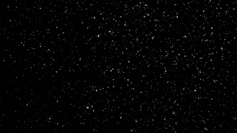 Free Video Stock thick snow falling in slow motion Live Wallpaper - Free Live Wallpaper