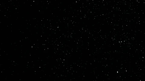 Free Video Stock thick snow falling slowly Live Wallpaper - Free Live Wallpaper