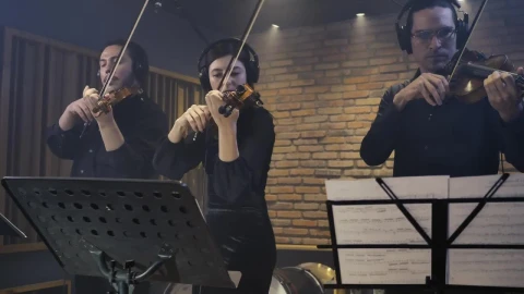 Free Video Stock three expert violinists playing together in a studio Live Wallpaper - Free Live Wallpaper