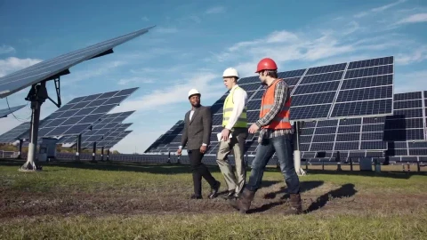 Free Video Stock three engineers working on a solar panel field Live Wallpaper - Free Live Wallpaper