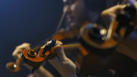 Free Video Stock three talented violinists playing together Live Wallpaper - Free Live Wallpaper