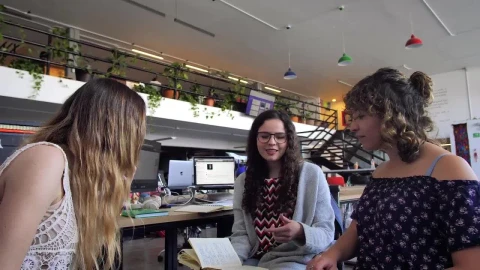 Free Video Stock three women meeting Live Wallpaper - Free Live Wallpaper