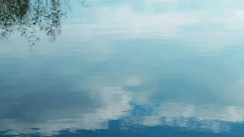 Free Video Stock throwing a stone into a lake Live Wallpaper - Free Live Wallpaper