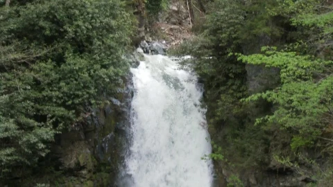 Free Video Stock tilt shot of a waterfall in slow motion Live Wallpaper - Free Live Wallpaper