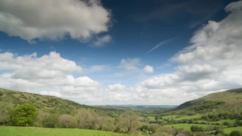 Free Video Stock time lapse of a green meadow Live Wallpaper - Free Live Wallpaper