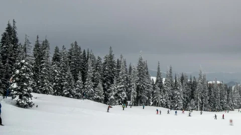 Free Video Stock time lapse of a ski area with tourists practicing Live Wallpaper - Free Live Wallpaper