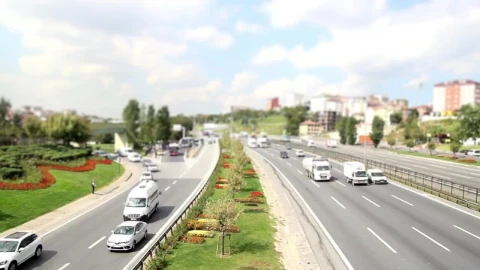 Free Video Stock time lapse of a sunny day in an avenue Live Wallpaper - Free Live Wallpaper