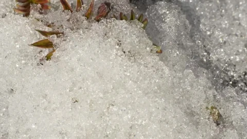 Free Video Stock time lapse of melting ice Live Wallpaper - Free Live Wallpaper
