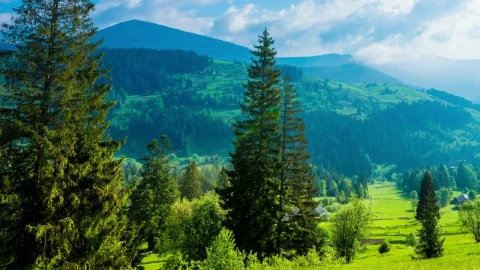 Free Video Stock time lapse pan shot of a mountainous valley Live Wallpaper - Free Live Wallpaper