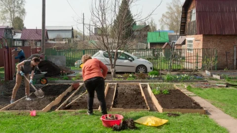 Free Video Stock timelapse of a family working on the garden Live Wallpaper - Free Live Wallpaper