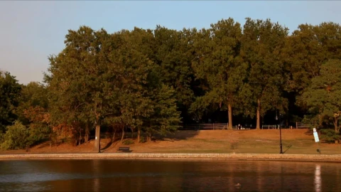 Free Video Stock timelapse of people walking in a park Live Wallpaper - Free Live Wallpaper