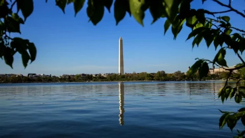 Free Video Stock timelapse of the washington momument Live Wallpaper - Free Live Wallpaper