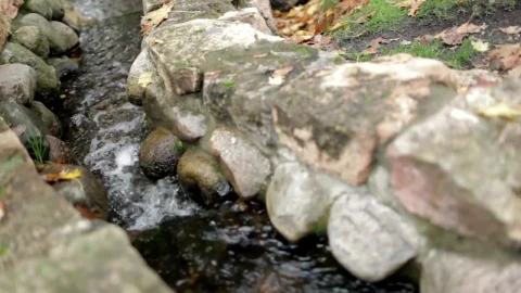 Free Video Stock tiny garden stream flowing Live Wallpaper - Free Live Wallpaper