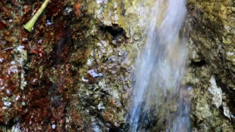 Free Video Stock tiny waterfall in a cracked rock Live Wallpaper - Free Live Wallpaper