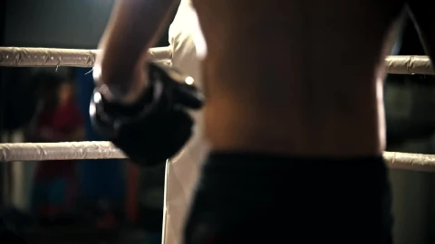 Free Video Stock tired amateur boxer in the corner of the ring while Live Wallpaper - Free Live Wallpaper
