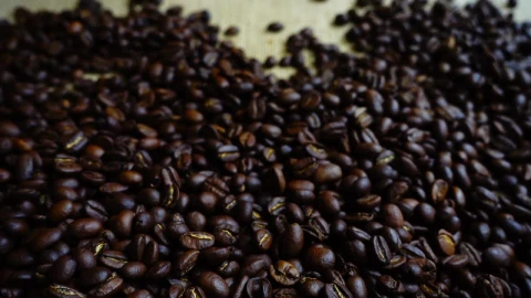 Free Video Stock toasted coffee beans on a sack Live Wallpaper - Free Live Wallpaper