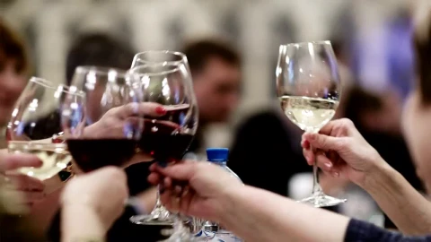 Free Video Stock toasting with wine glasses during a night out Live Wallpaper - Free Live Wallpaper